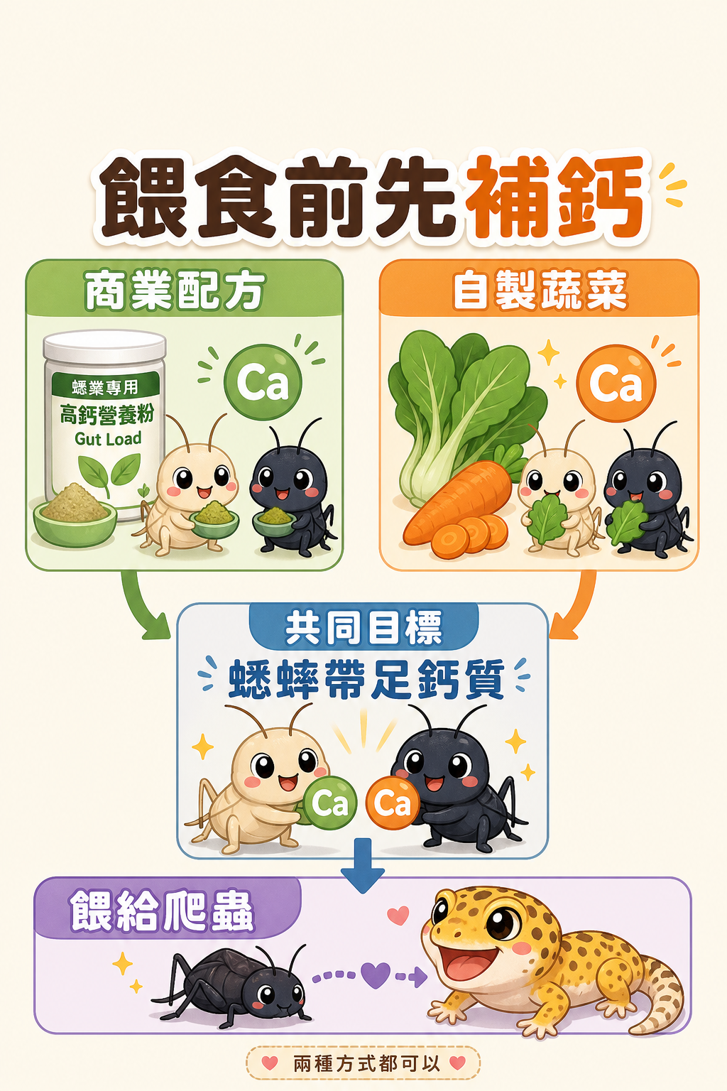 無論用商業配方還是自製蔬菜組合,目標都一樣:讓蟋蟀在餵食前帶著足夠的鈣質進入爬蟲肚子