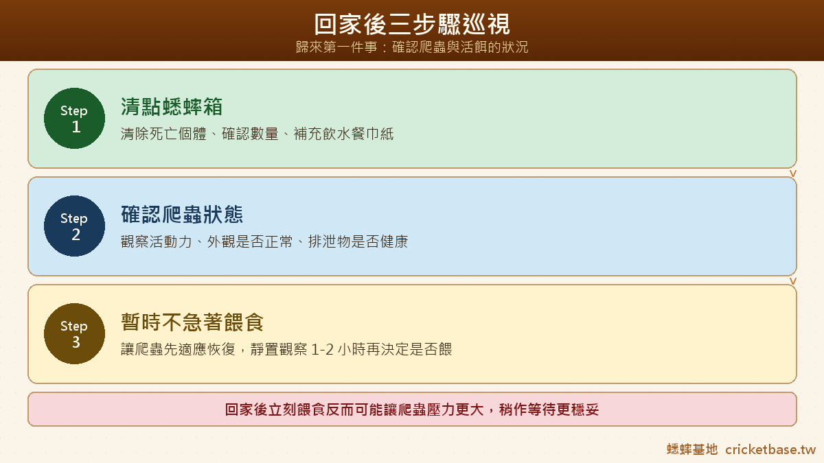 回家後三步驟巡視：清點蟋蟀箱、確認爬寵狀態、暫時不急著餵食