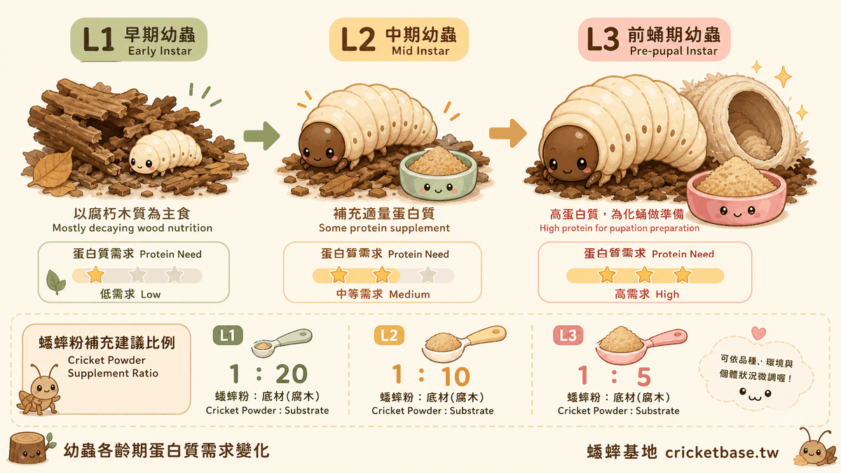 幼蟲各齡期蛋白質需求變化