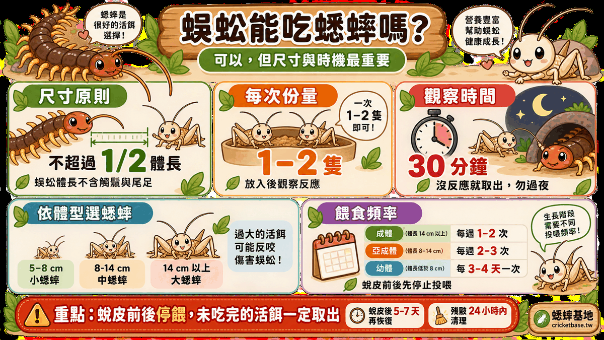 蜈蚣能吃蟋蟀嗎？
