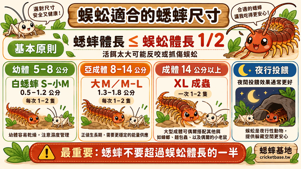 蜈蚣適合的蟋蟀尺寸選擇
