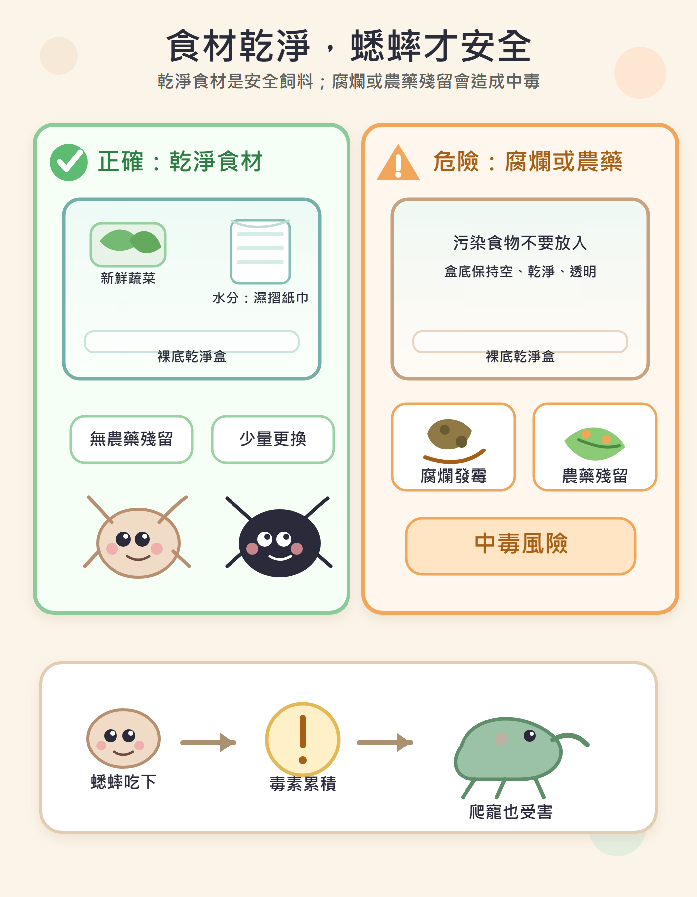 食物好不好，蟋蟀心裡有數：乾淨食材才是安全的飼料，腐爛或帶農藥殘留的食物是蟋蟀（和後續吃下蟋蟀的爬寵）中毒的直接原因。