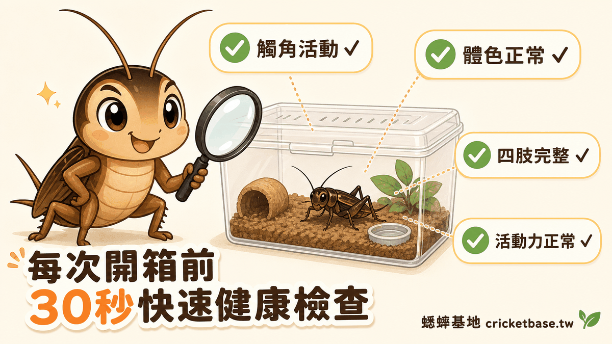 每次開箱前30秒快速健康檢查要點