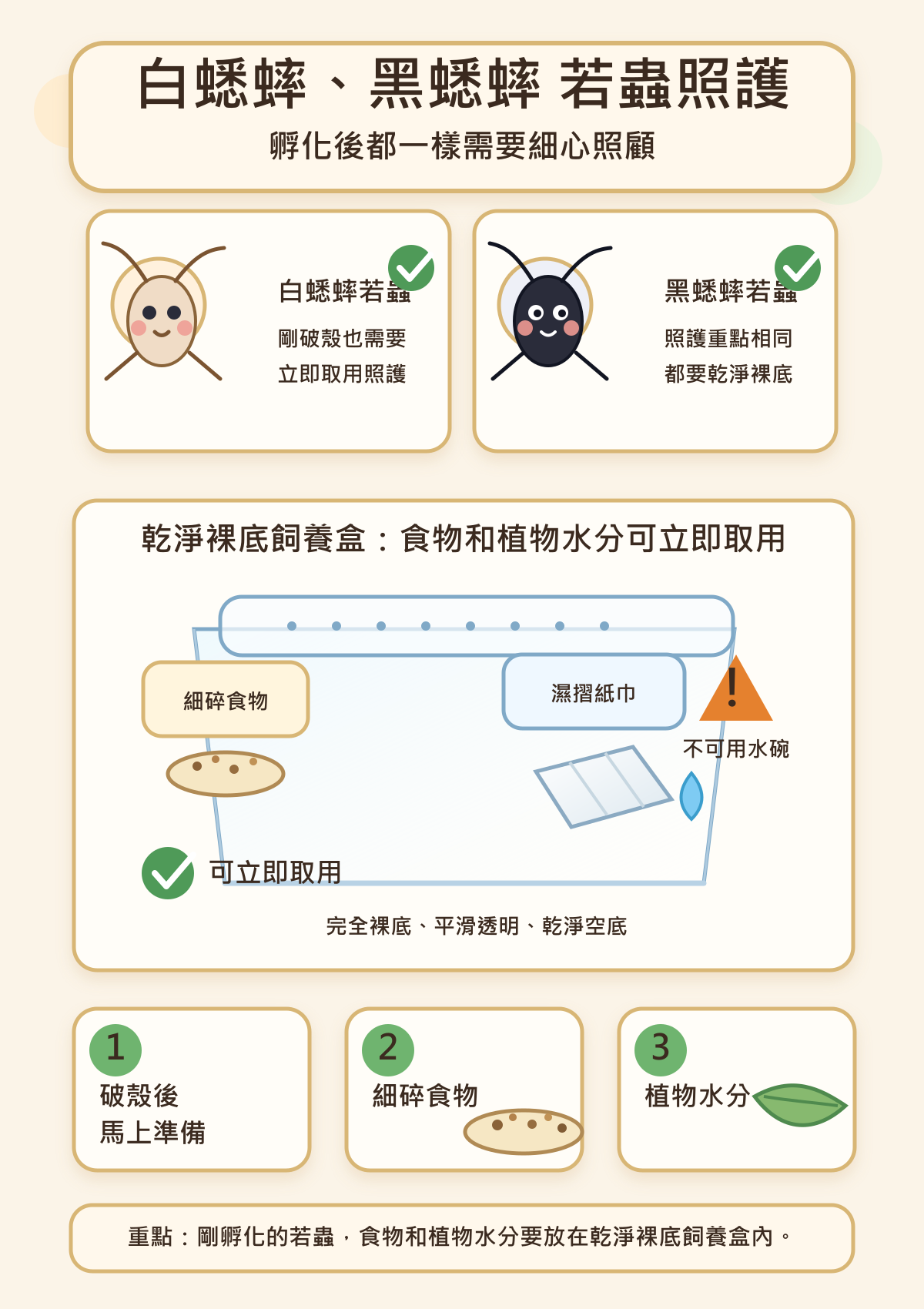 白蟋蟀和黑蟋蟀孵化出來的若蟲都需要同樣細心的照顧:破殼後馬上要有細碎食物和植物水分可以取用。