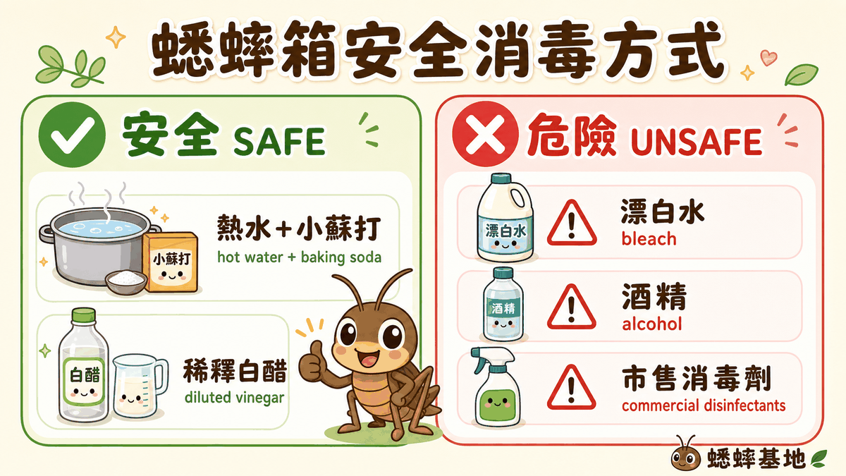 蟋蟀箱安全消毒方式