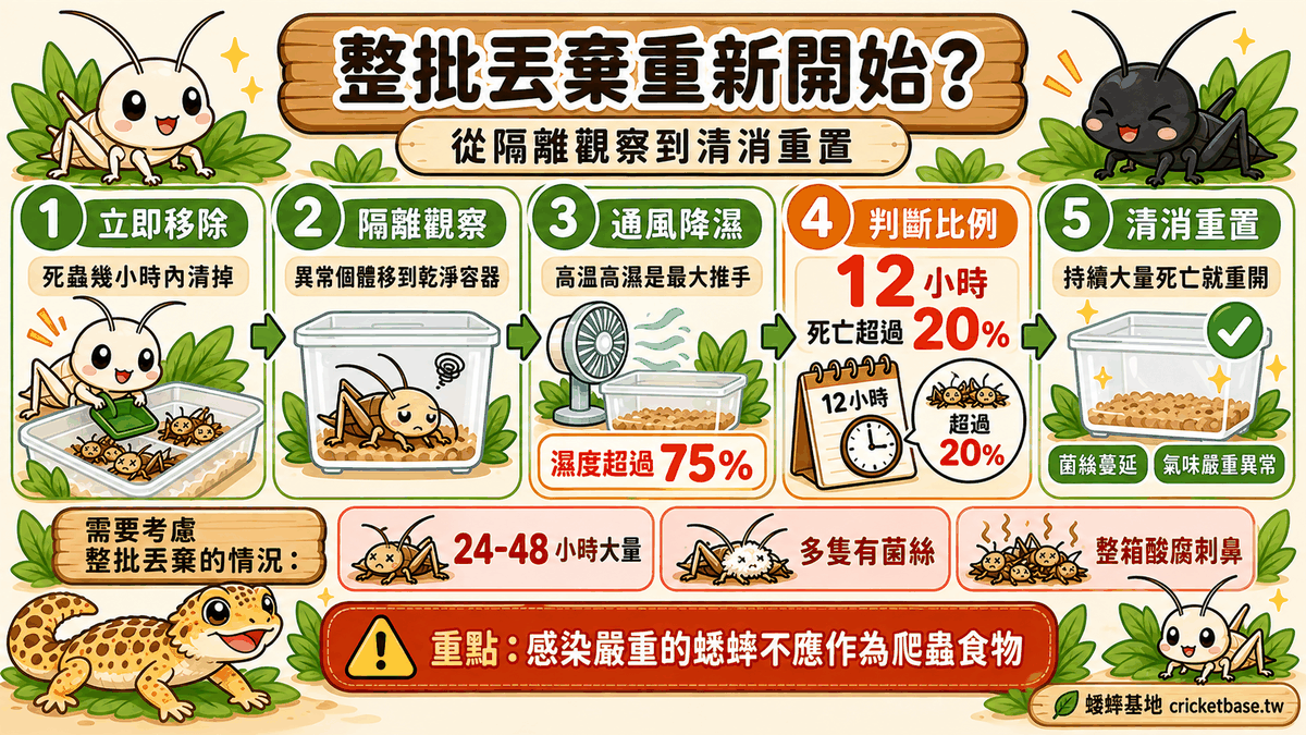 什麼情況需要整批丟棄重新開始:決策流程圖,從隔離觀察到評估比例到清消重置