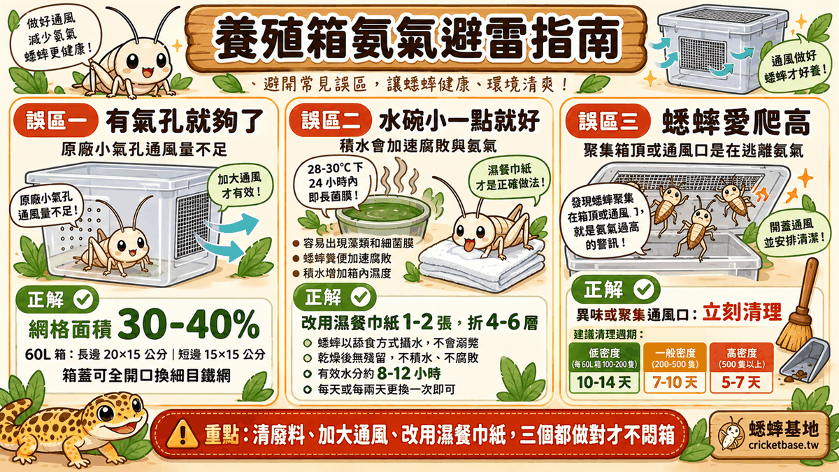 三大常見誤區避雷：箱子有氣孔就夠了、水碗放小一點就沒問題、蟋蟀一直在高處是喜歡爬高