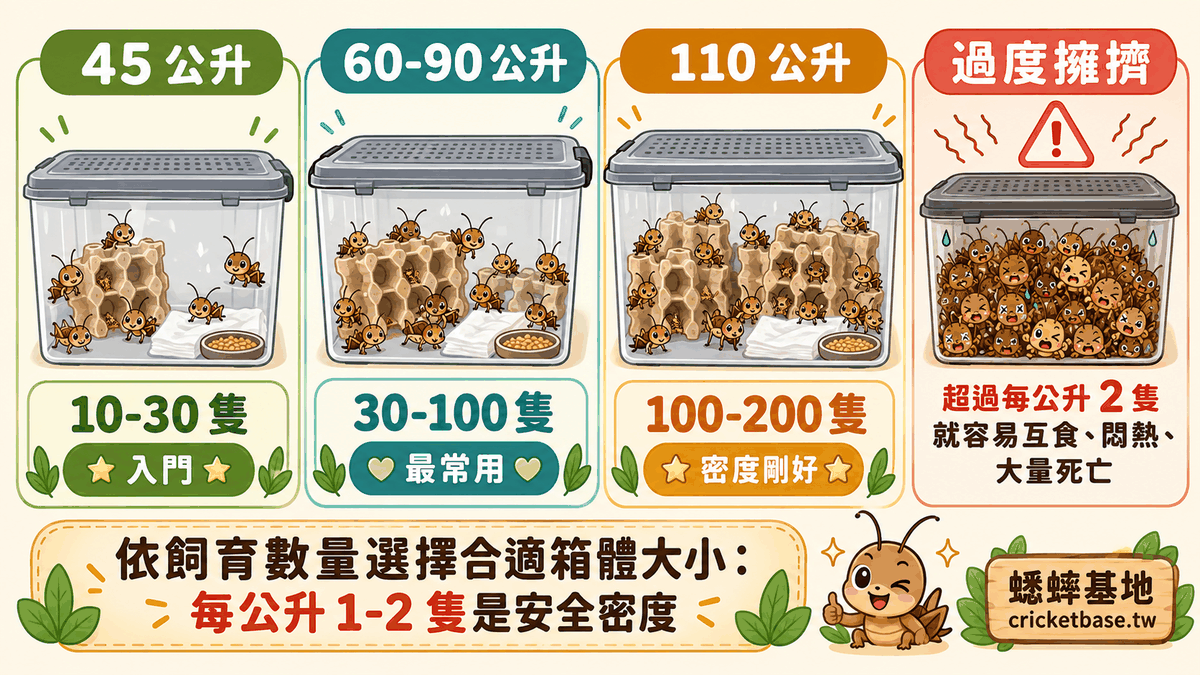 依飼育數量選擇合適箱體大小