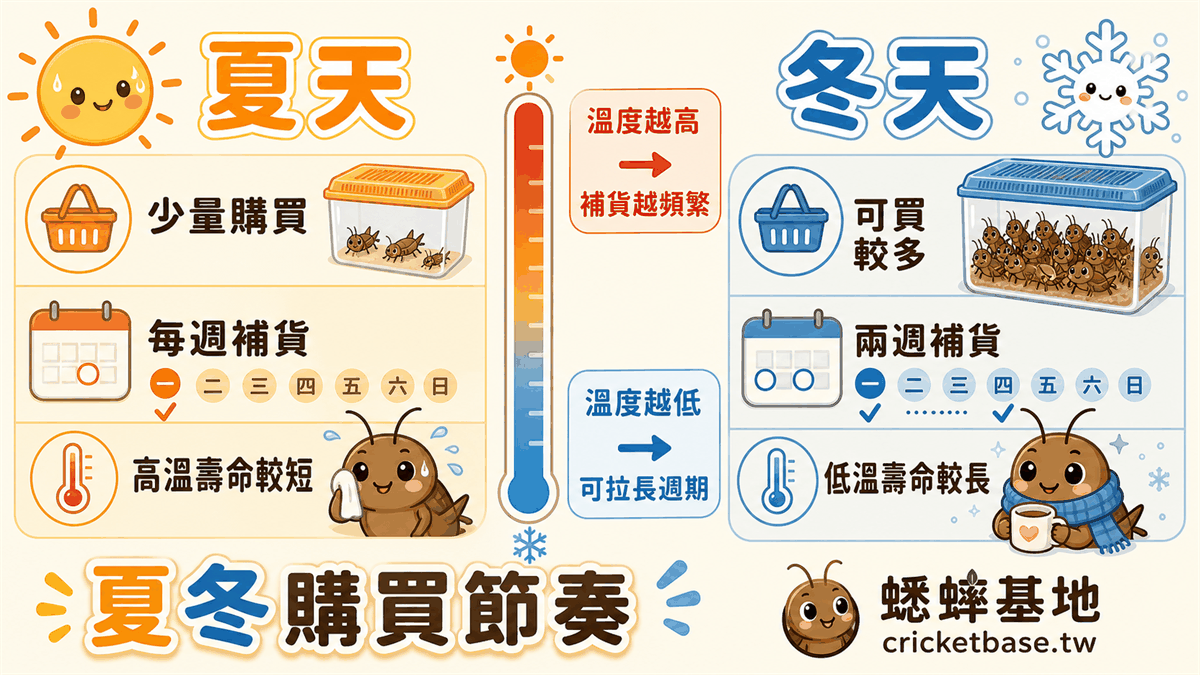 夏冬季節採購節奏調整策略