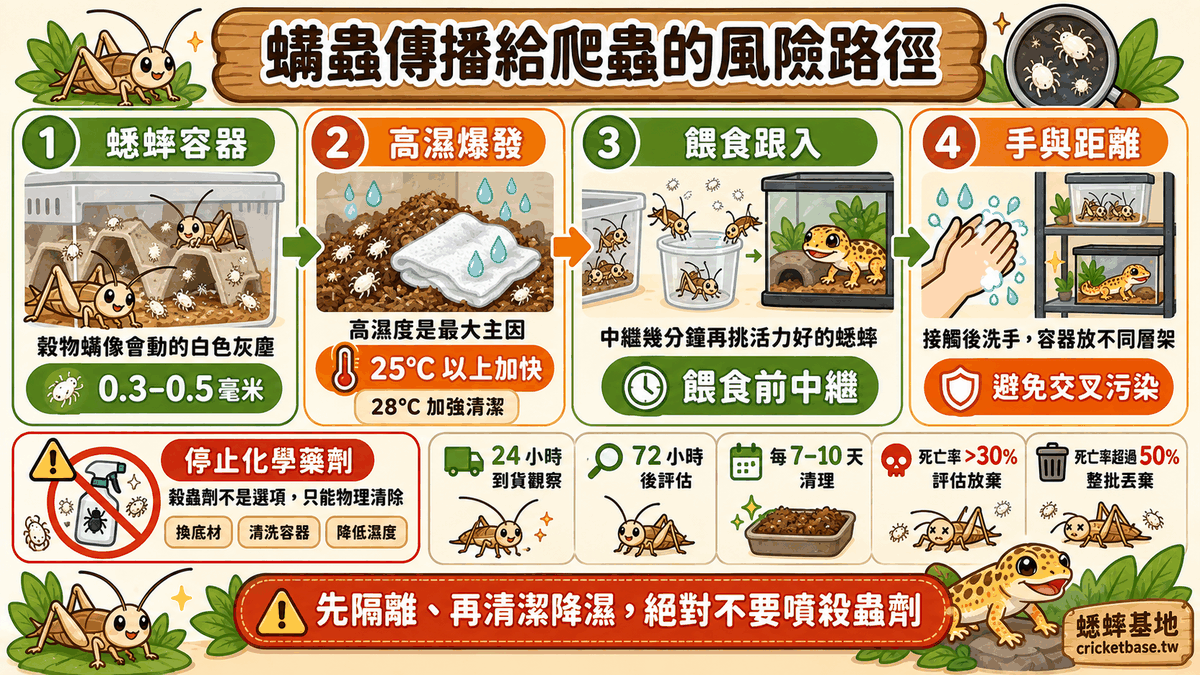 蟎蟲傳播給爬蟲的風險路徑
