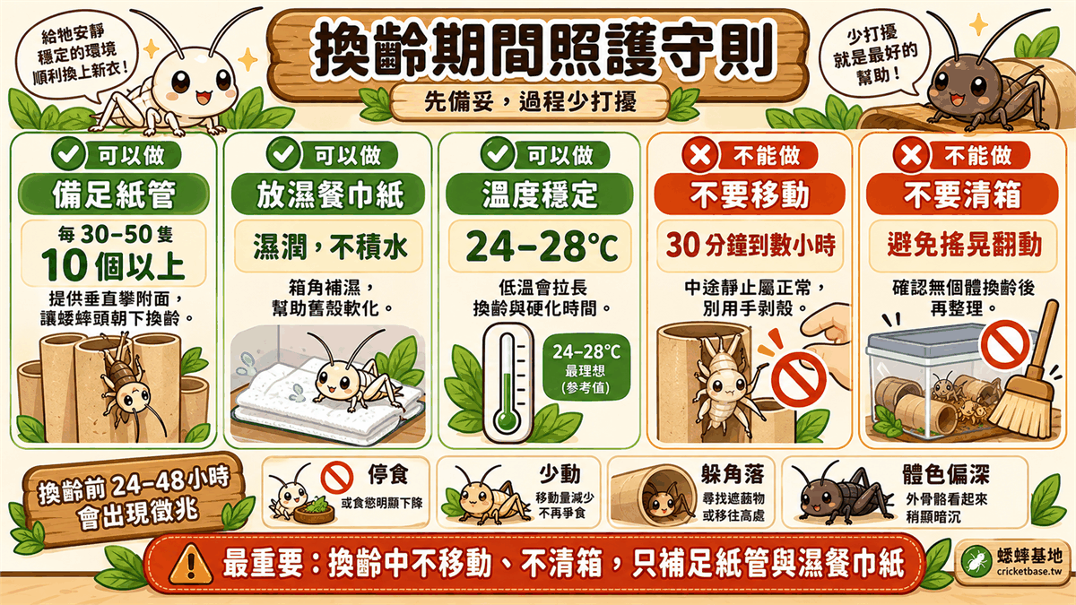 換齡期間飼主能做與不能做的事：備妥紙管與濕餐巾紙，不移動、不清箱