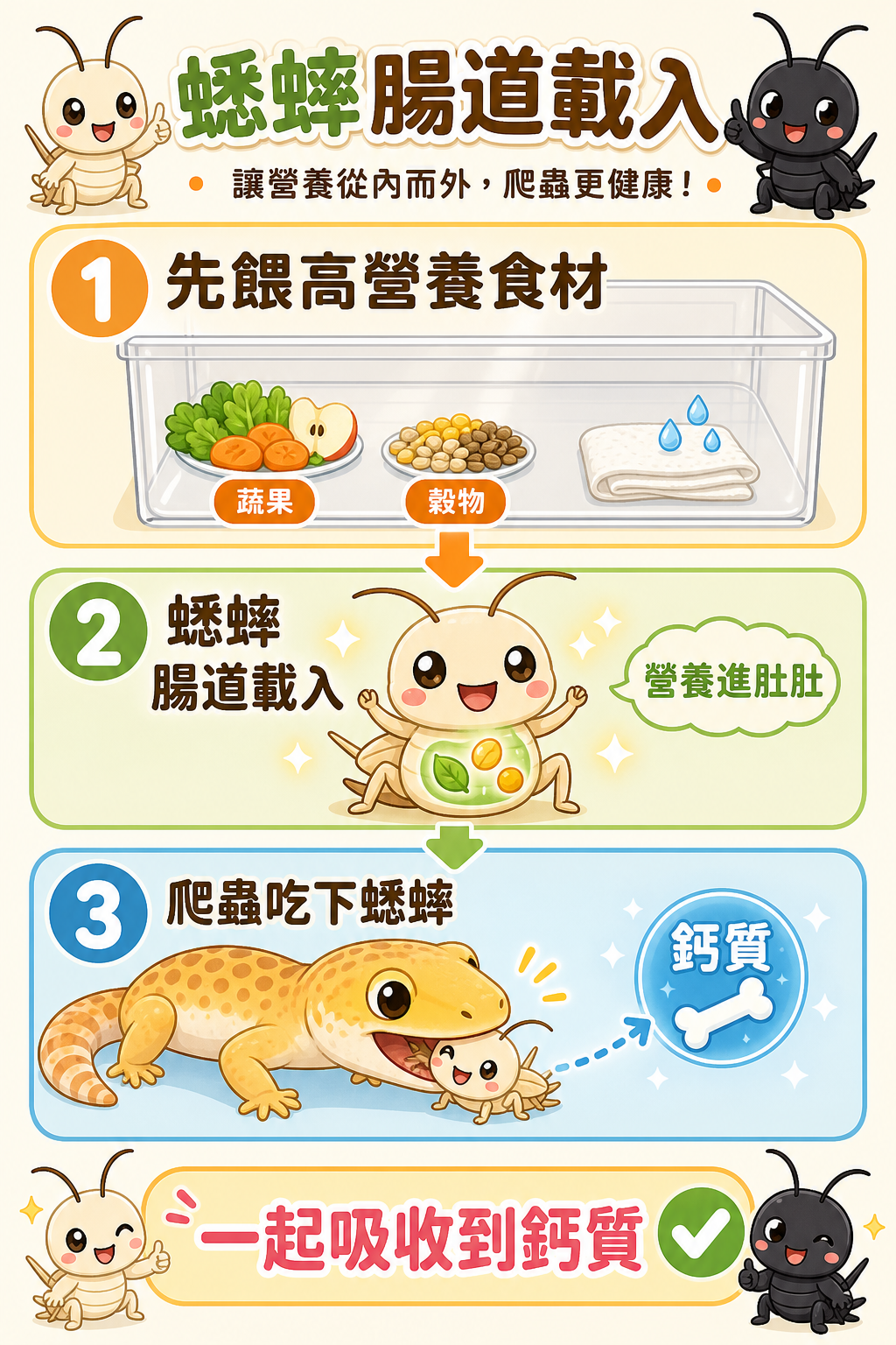 腸道載入讓蟋蟀先把高營養食材吃進去,爬蟲吞下蟋蟀的同時就能一起吸收到鈣質。