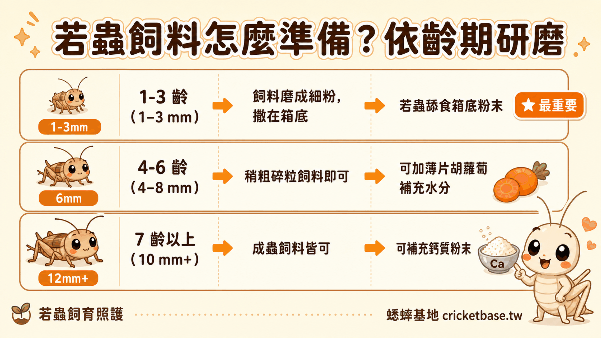 若蟲飼料依齡期研磨指南