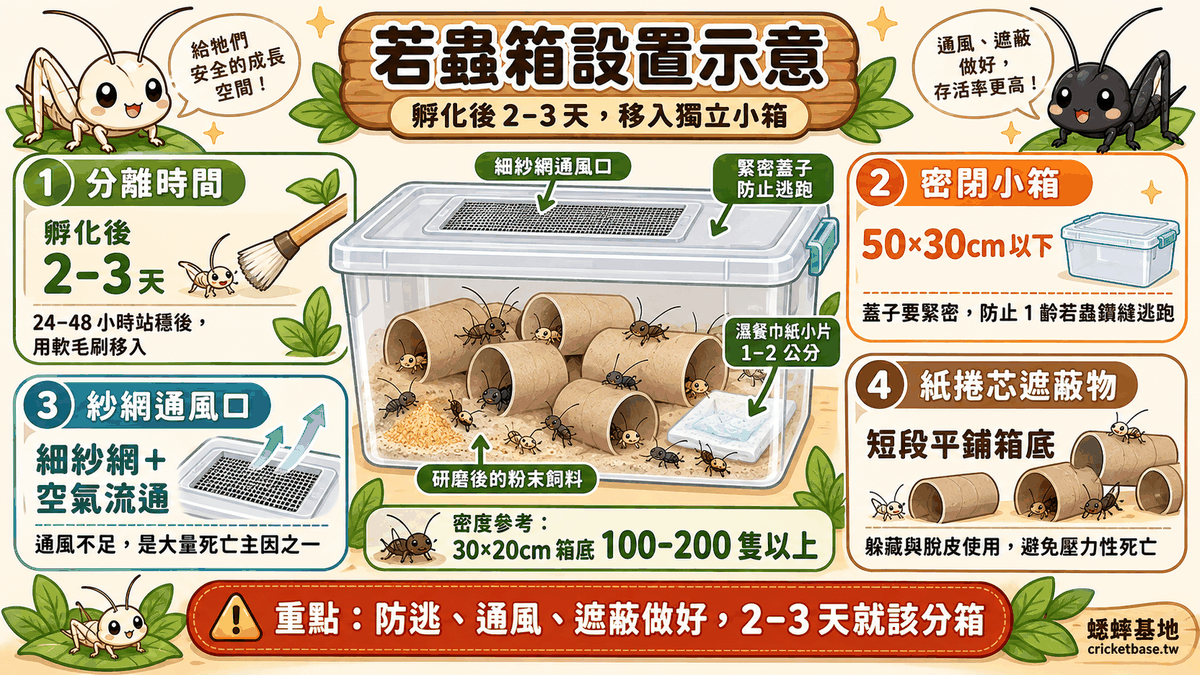 若蟲箱設置示意：密閉小箱、紗網通風口與紙捲芯遮蔽物