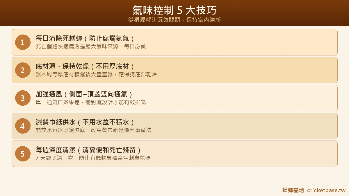 氣味控制五大技巧：每日清死蟲、薄底材保持乾燥、加強通風、濕餐巾紙供水、每週深度清潔