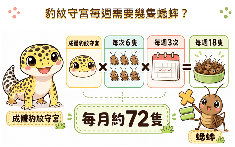 豹紋守宮每週需要幾隻蟋蟀：計算表