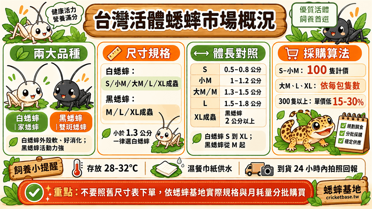 台灣活體蟋蟀市場概況:白蟋蟀有 S/小M/大M/L/XL 成蟲,黑蟋蟀從 M 起;體長對照 S 0.5-0.8、小M 1-1.2、大M 1.3-1.5、L 1.5-1.8 公分,XL 成蟲 2 公分以上;小型規格以百隻計價,300 隻以上單價低 15-30%