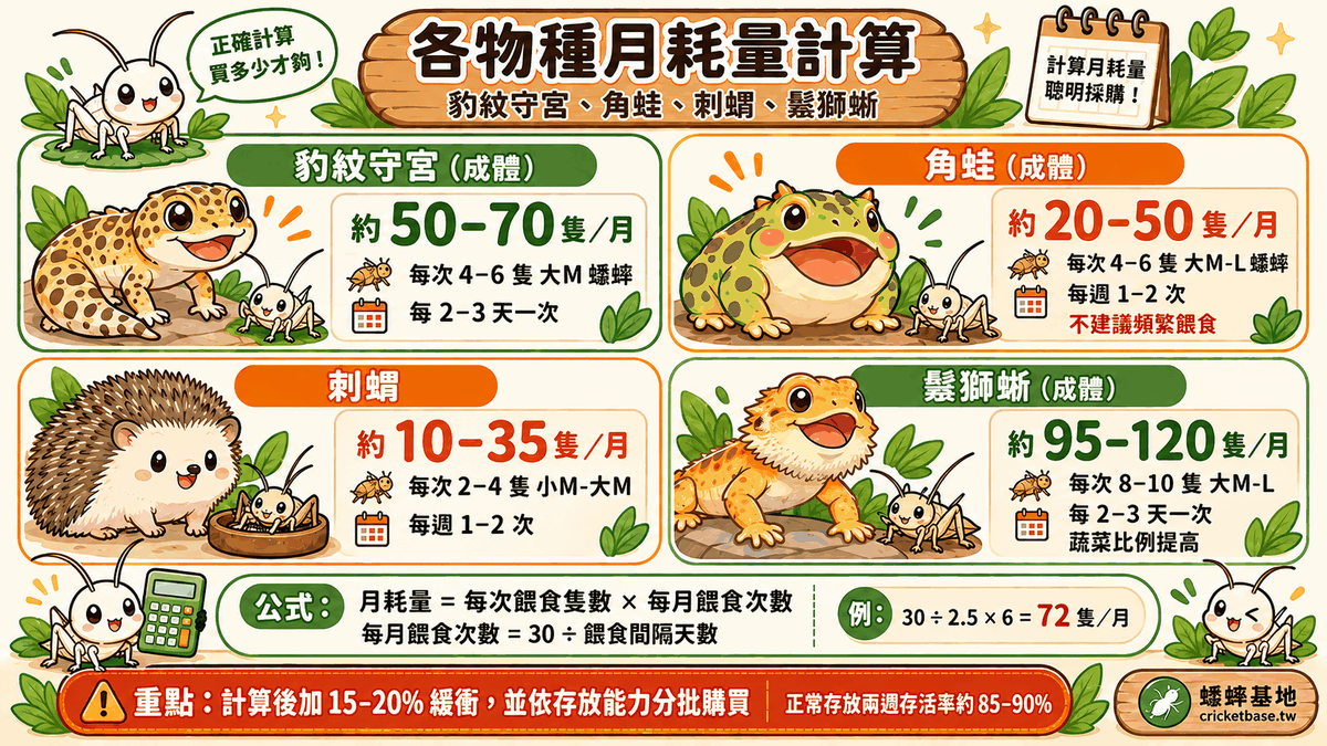 各物種每月蟋蟀消耗量計算:豹紋守宮、角蛙、刺蝟、鬃獅蜥的月耗量與公式說明