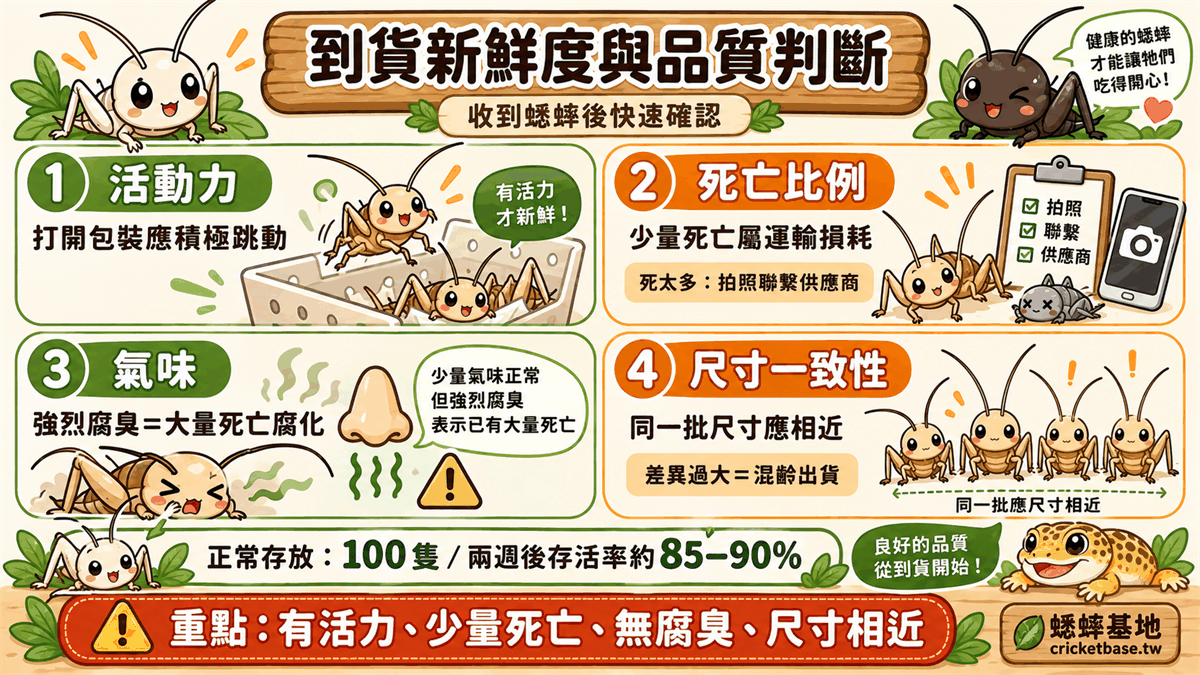 收到蟋蟀時的新鮮度與品質判斷要點