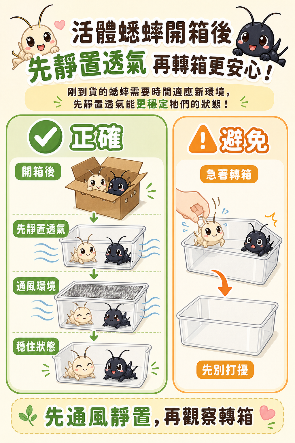 開箱後先讓蟋蟀在通風環境靜置透氣，比直接急著轉箱更能穩住牠們剛到時的狀態。