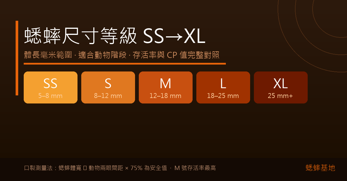 蟋蟀五個尺寸等級 SS 到 XL 完整規格對照，從 5mm 初孵幼蟲到 25mm 以上成蟲一覽無遺。