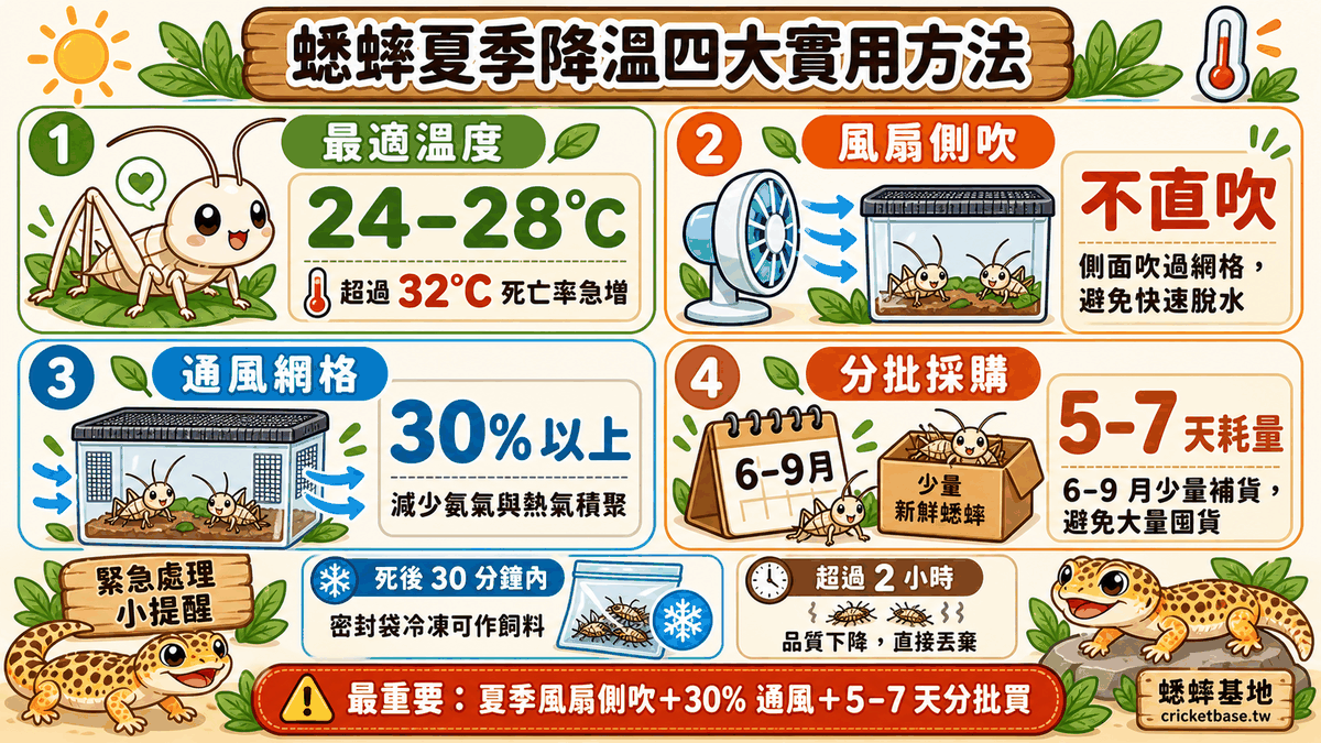 蟋蟀夏季降溫四大實用方法