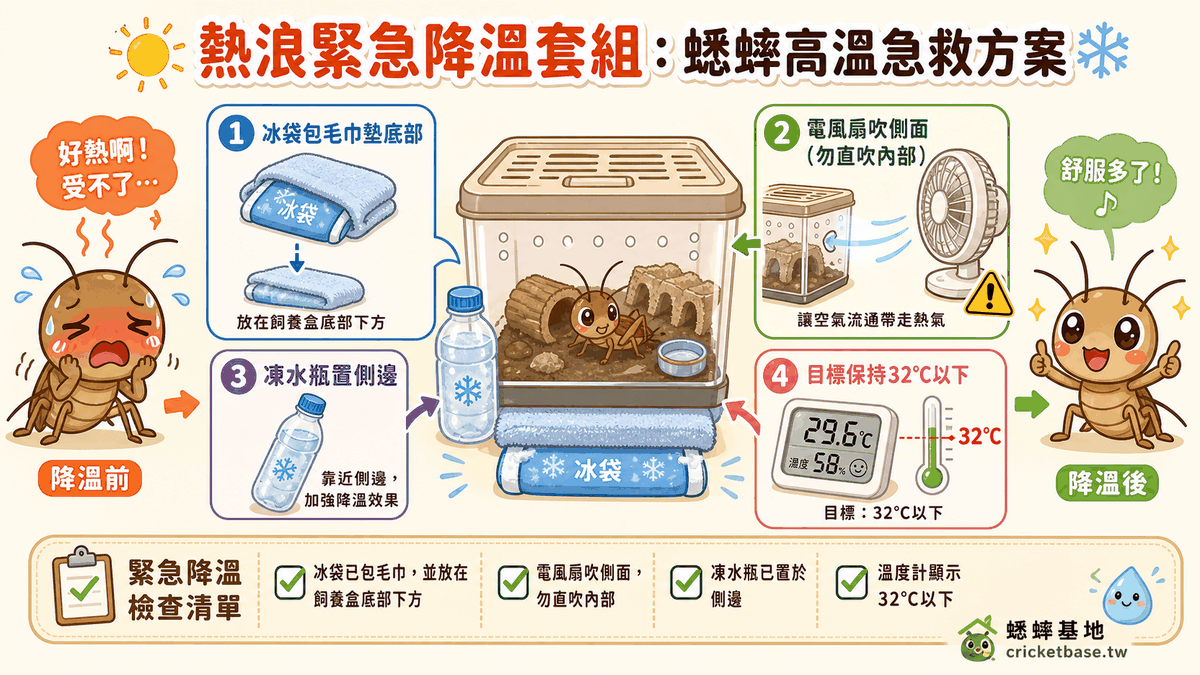 熱浪緊急降溫套組：冰袋包毛巾墊底部、電風扇吹側面、凍水瓶置側邊、目標保持 32°C 以下