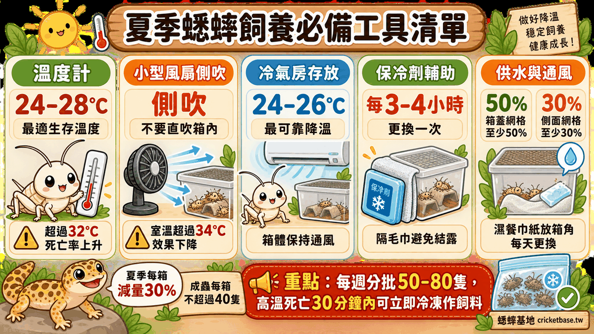 夏季蟋蟀飼養必備工具清單