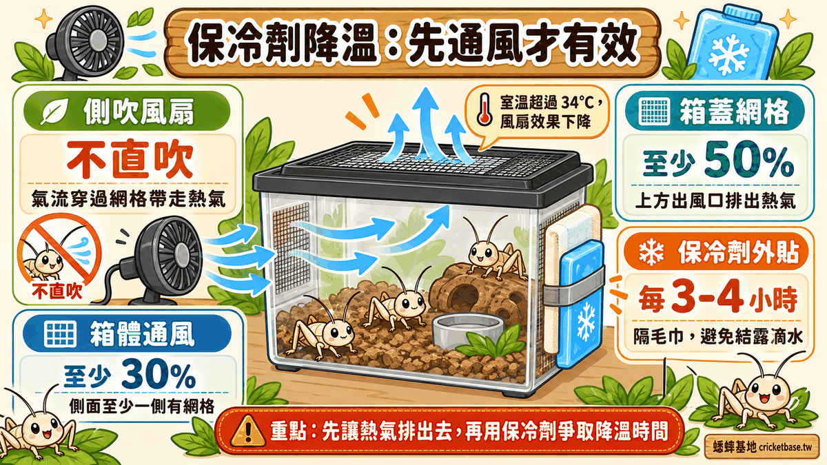 夏季飼育箱要靠風扇氣流帶走熱氣，通風是降溫的前提