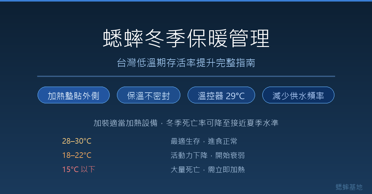 蟋蟀冬季保暖管理重點一覽：加熱墊外側安裝、保溫不密封、溫控器設定 29°C、減少供水頻率
