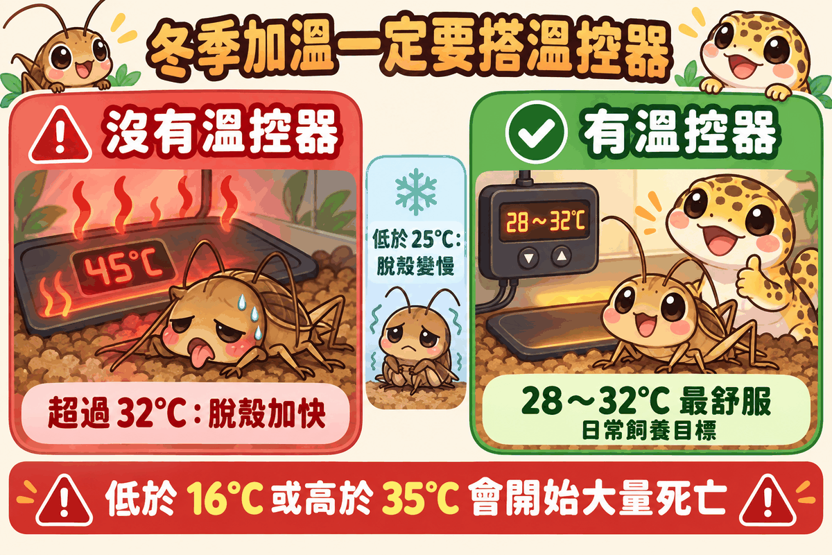 冬季加溫一定要搭溫控器：沒溫控器 45°C 蟋蟀熱到攤平，有溫控器維持 28～32°C 健康活動；低於 16°C 或高於 35°C 會開始大量死亡