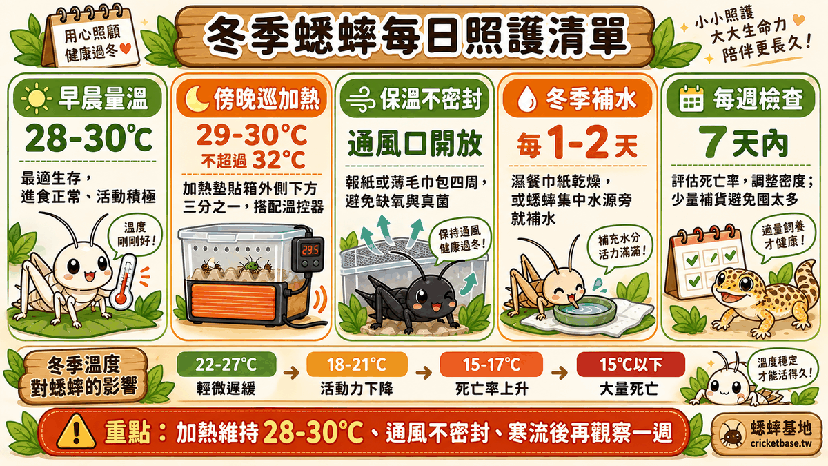 冬季蟋蟀每日照護例行清單：早晨確認溫度、傍晚確認加熱墊、每週評估死亡率與調整密度