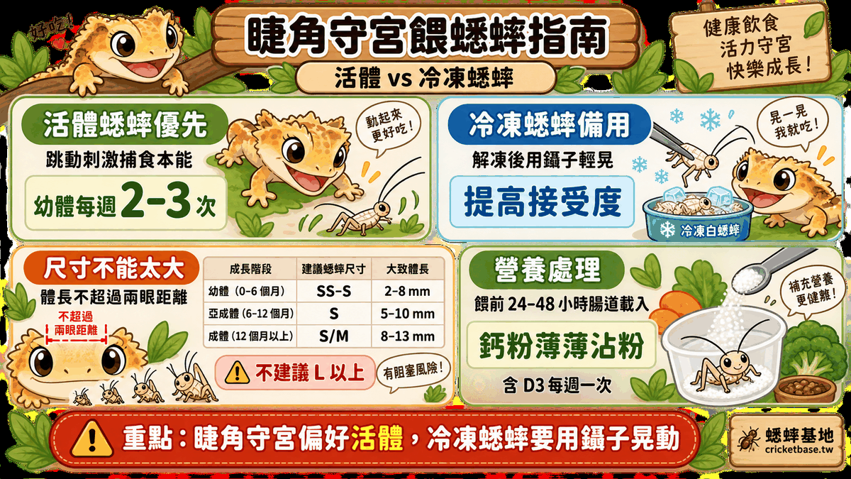 活體 vs 冷凍蟋蟀：睫角守宮偏好活體、鑷子晃動可提高冷凍接受度