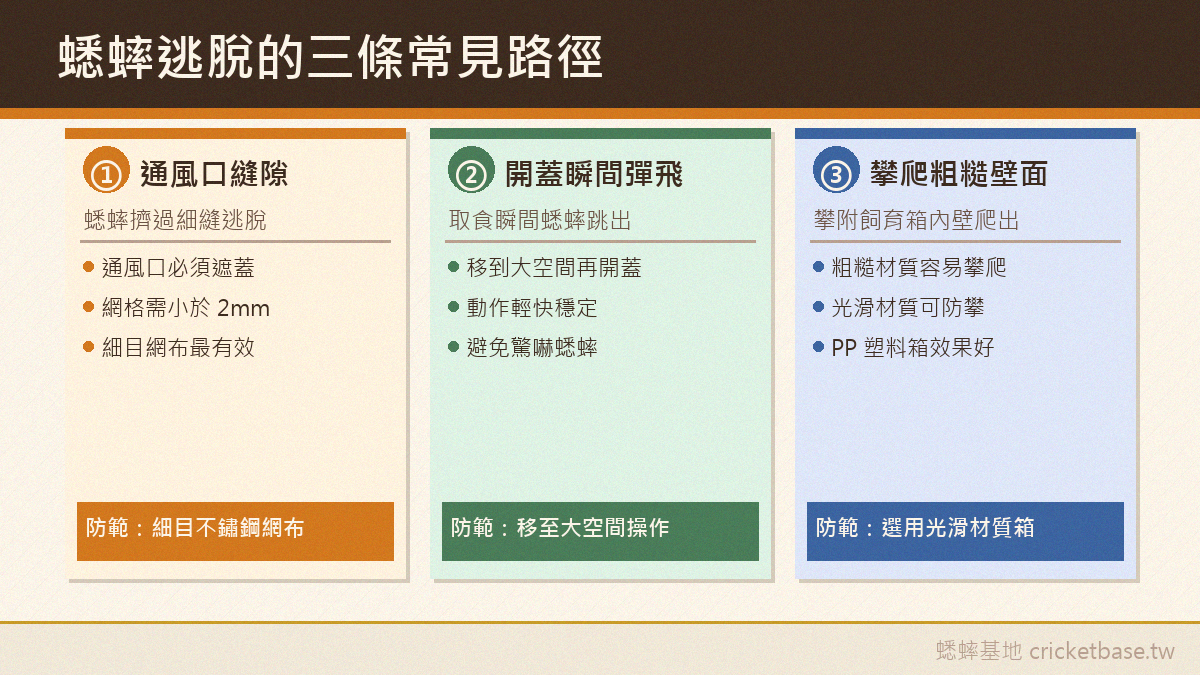 蟋蟀逃脫的三條常見路徑：通風口縫隙、開蓋瞬間彈飛、攀爬粗糙壁面，以及對應防範方式