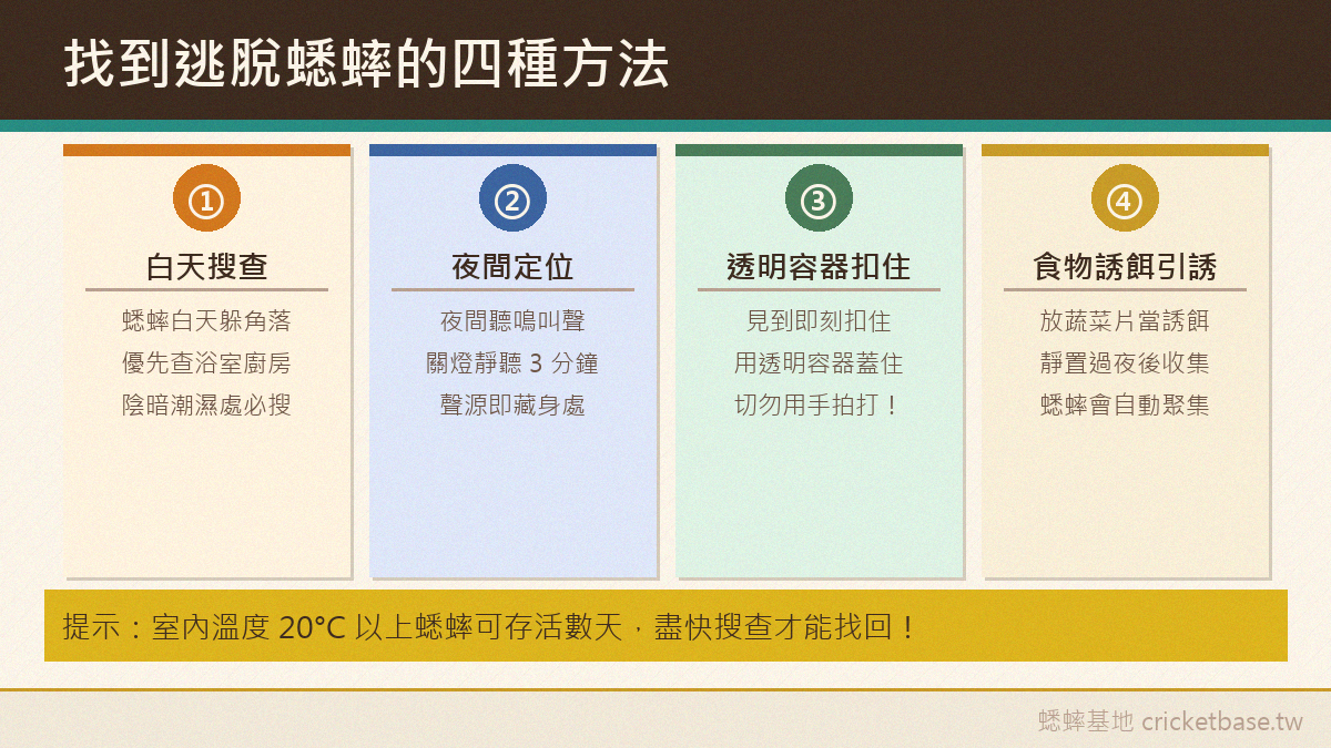 找到逃脫蟋蟀的四種方法：白天搜查、夜間定位、透明容器扣住法、引誘歸巢