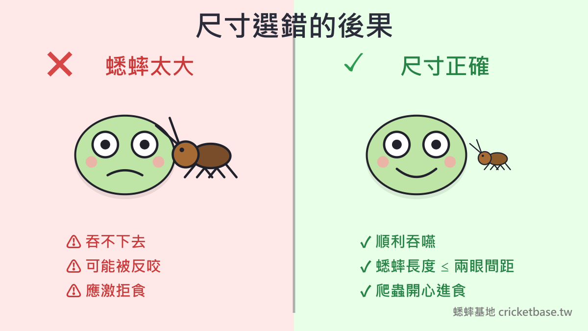 尺寸選錯的後果：左側蟋蟀太大會造成吞嚥困難、被反咬、應激拒食；右側正確尺寸讓爬蟲順利進食