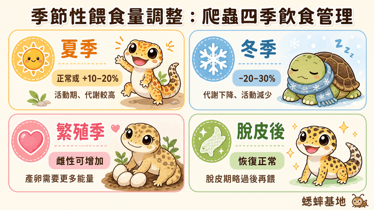 每週餵食行事曆範例對比