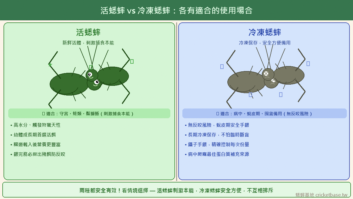 活蟋蟀是守宮、蛙類、鬃獅蜥都適合的主力活餌；冷凍蟋蟀存放方便、無反咬風險，是囤貨備用或病中/蛻皮期手餵的實用選項。