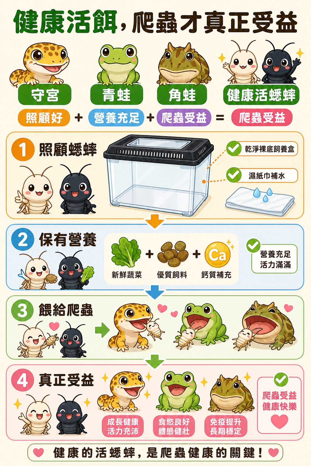 守宮、青蛙、角蛙等各種爬蟲都需要健康的活餌，把蟋蟀照顧好、讓牠保有充足營養，爬蟲吃下去才能真正受益