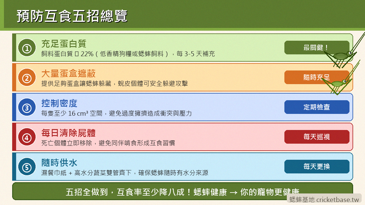 預防互食五招總覽：充足蛋白質、大量蛋盒、控制密度、每日清屍、隨時供水，五個動作全做到互食率至少降八成。