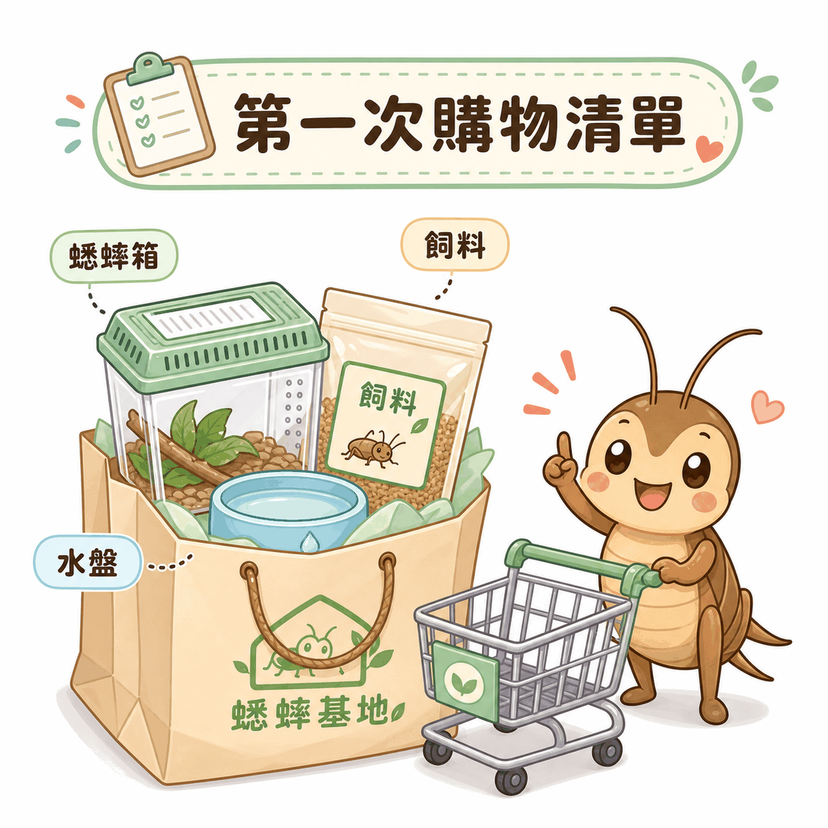 第一次買蟋蟀清單圖解：飼育箱、通風蓋、濕餐巾紙、紙蛋托、飼料、溫度計
