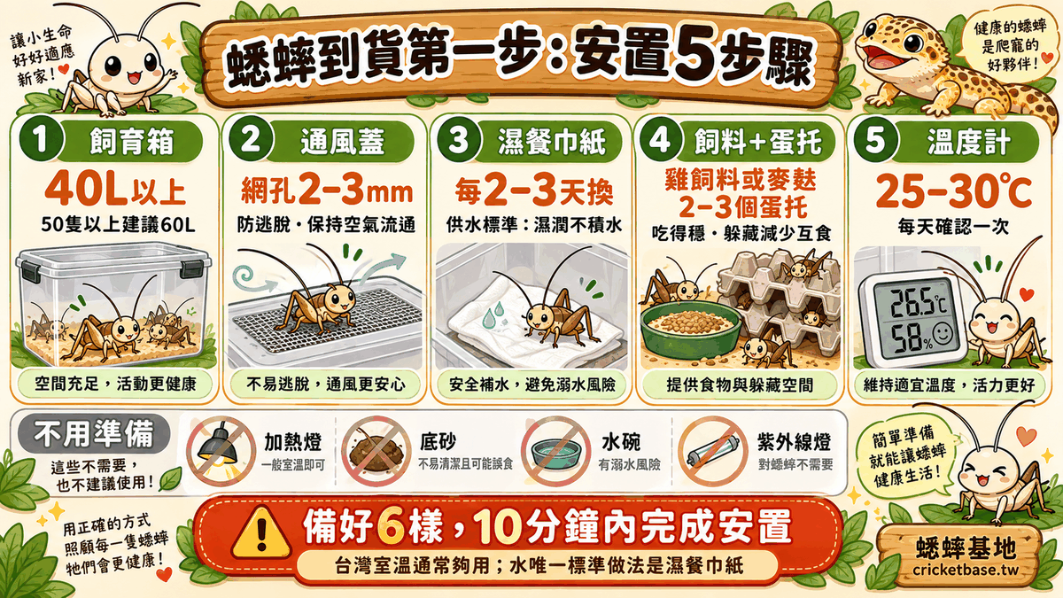 蟋蟀到貨安置 5 步驟：飼育箱、通風蓋、濕餐巾紙、飼料＋蛋托、溫度計，以及不用準備的加熱燈、底砂、水碗、紫外線燈