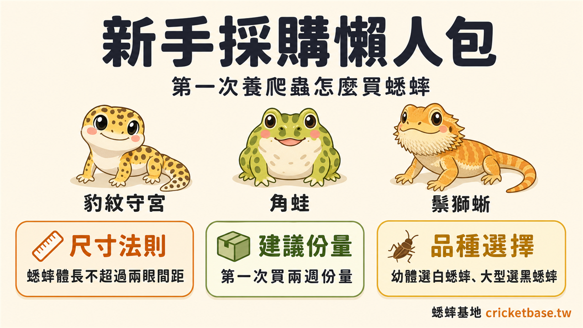 新手採購懶人包：第一次養爬蟲怎麼買蟋蟀