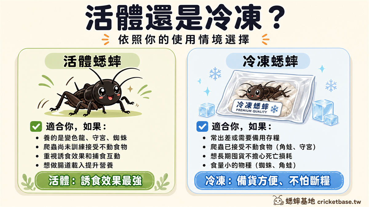 活體還是冷凍？依使用情境選擇蟋蟀品項