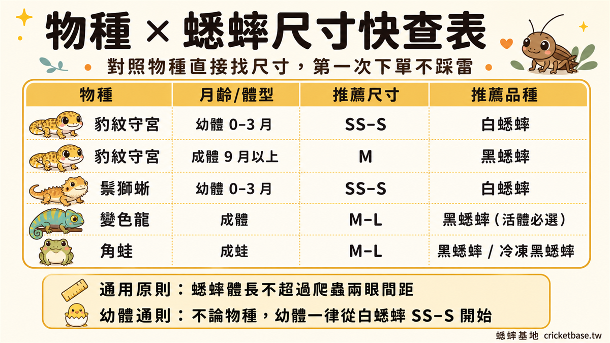 物種與蟋蟀尺寸快查表：守宮、鬃獅蜥、變色龍、角蛙