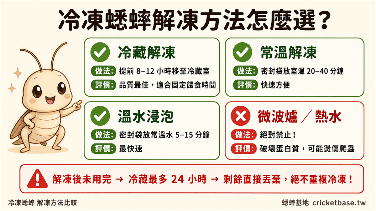 冷凍蟋蟀解凍方法怎麼選