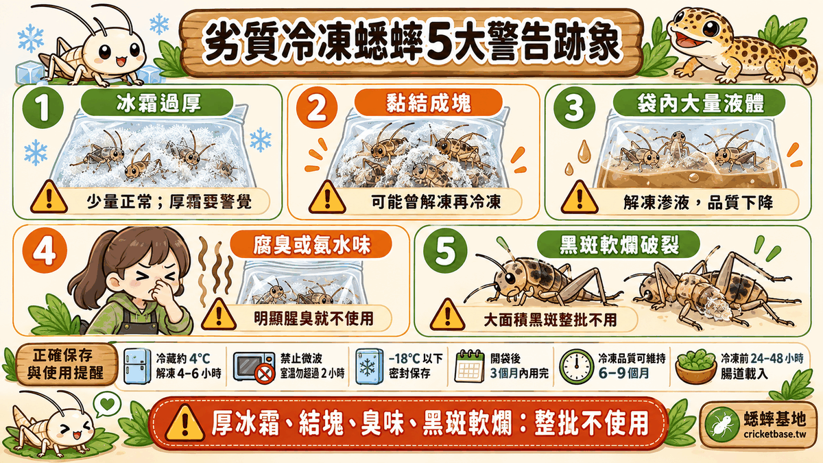 劣質冷凍蟋蟀5大警告跡象