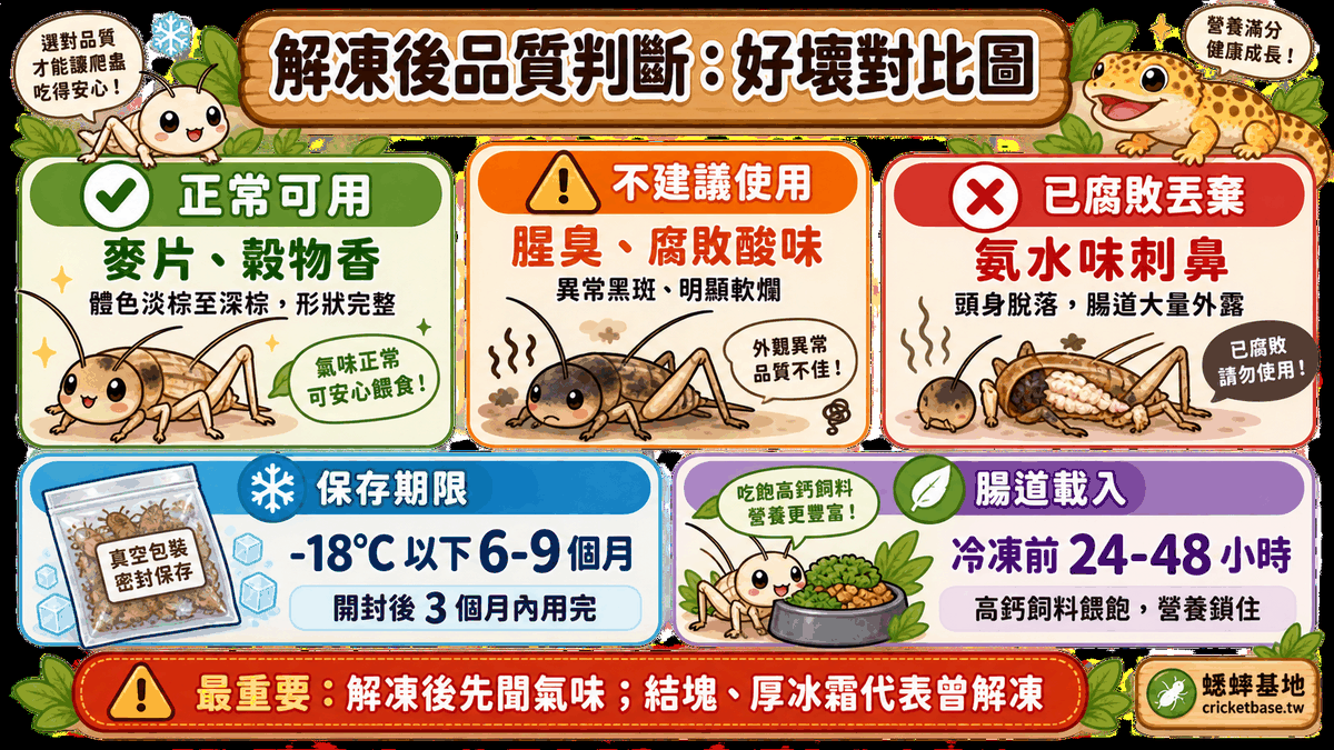 解凍後品質判斷：好壞對比圖