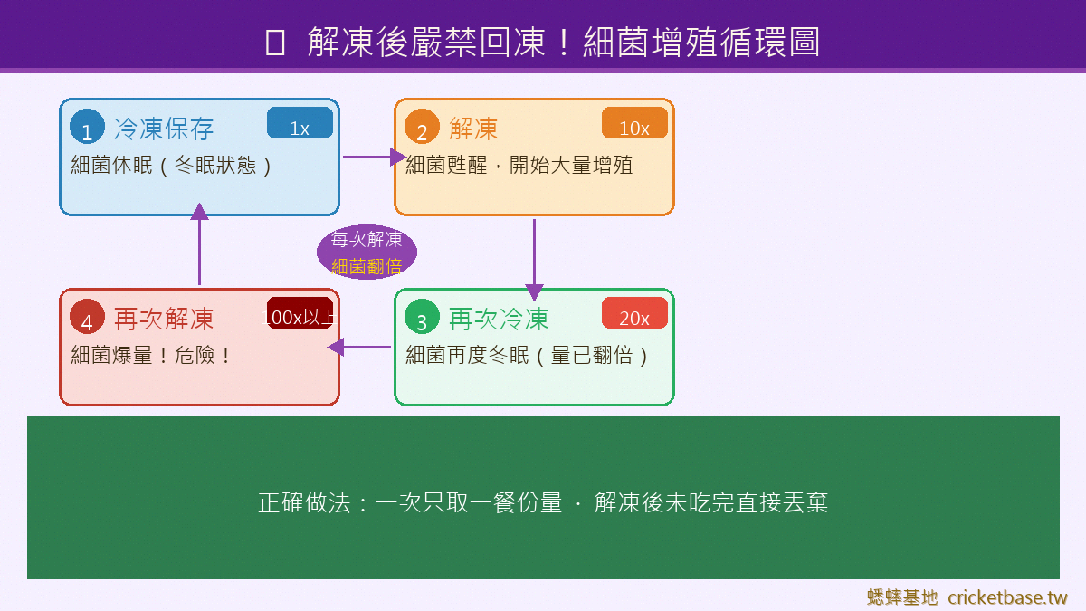 解凍後嚴禁回凍：細菌循環圖解