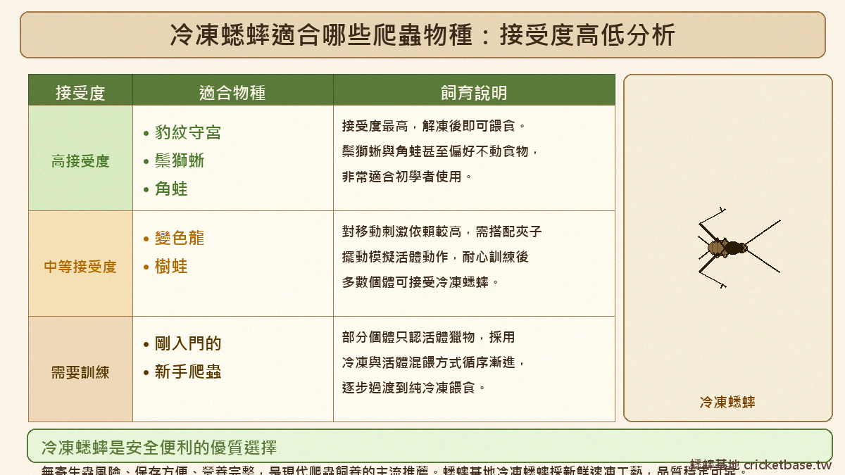 冷凍蟋蟀適合哪些爬蟲物種：接受度高低分析